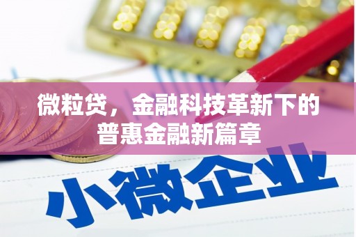横县微粒贷，金融科技革新下的普惠金融新篇章