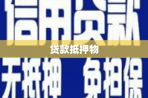 横县贷款抵押物