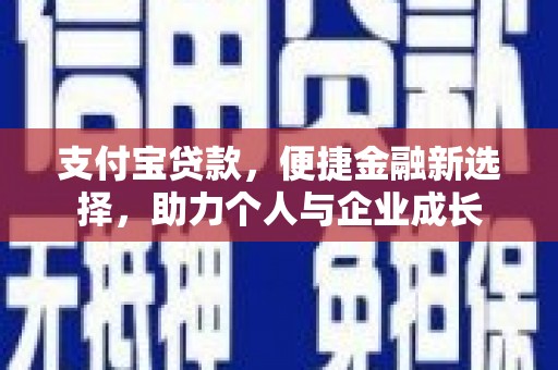 横县支付宝贷款，便捷金融新选择，助力个人与企业成长
