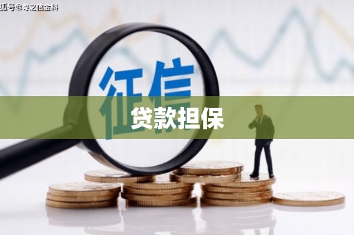 横县贷款担保