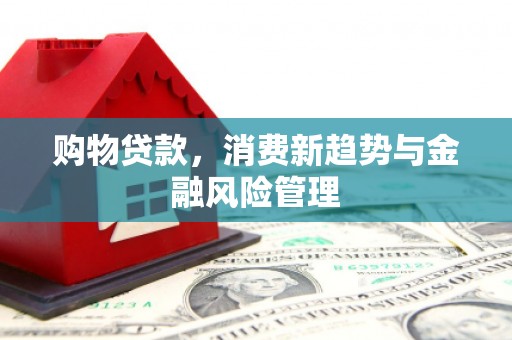 横县购物贷款，消费新趋势与金融风险管理