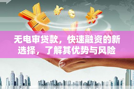 横县无电审贷款，快速融资的新选择，了解其优势与风险