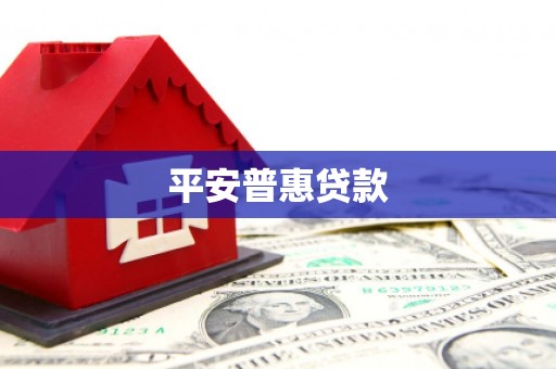横县平安普惠贷款