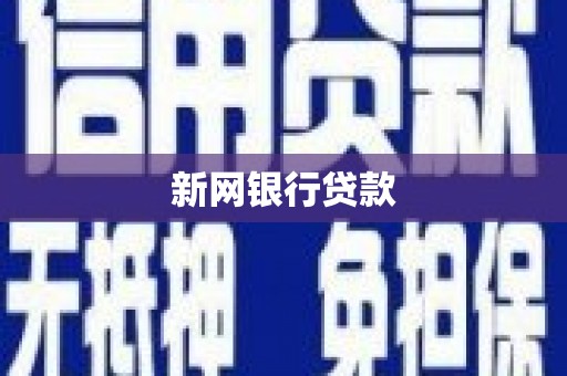 横县新网银行贷款