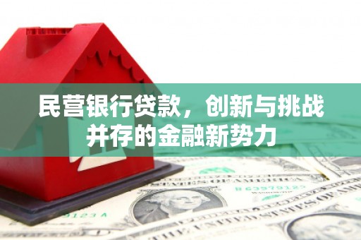 横县民营银行贷款，创新与挑战并存的金融新势力
