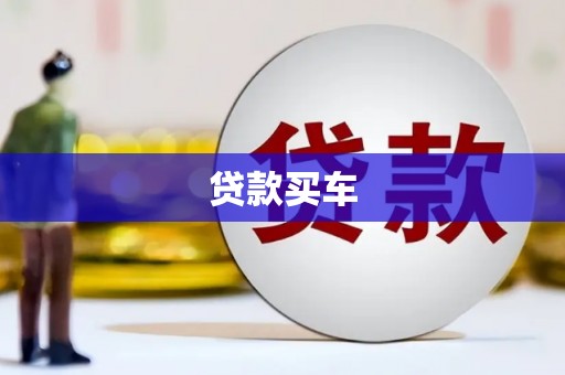 横县贷款买车