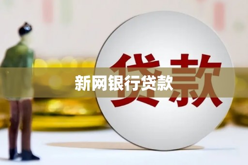 横县新网银行贷款