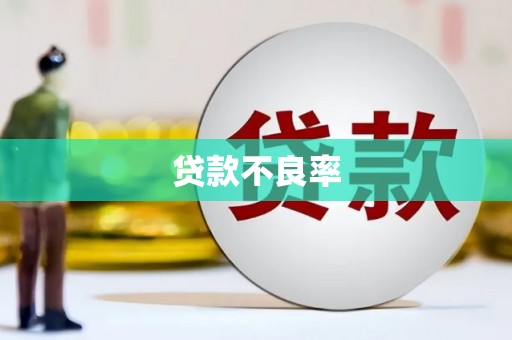 横县贷款不良率