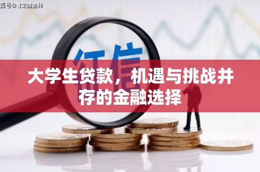 横县大学生贷款，机遇与挑战并存的金融选择