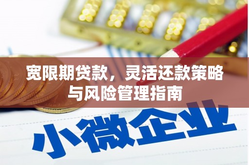 横县宽限期贷款，灵活还款策略与风险管理指南