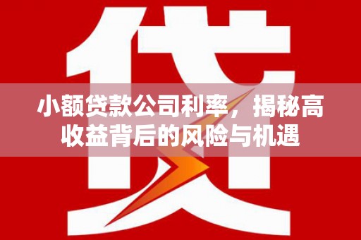 横县小额贷款公司利率，揭秘高收益背后的风险与机遇
