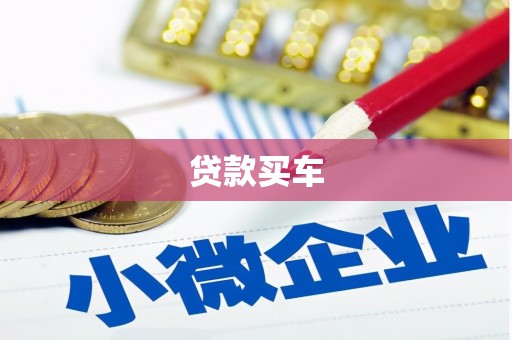 横县贷款买车