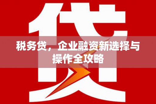 横县税务贷，企业融资新选择与操作全攻略