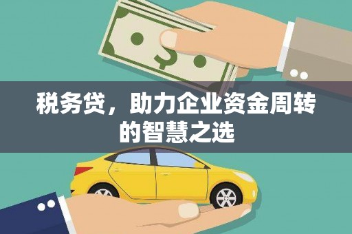 横县税务贷，助力企业资金周转的智慧之选