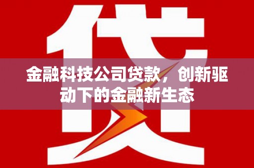 横县金融科技公司贷款，创新驱动下的金融新生态