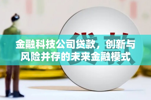横县金融科技公司贷款，创新与风险并存的未来金融模式