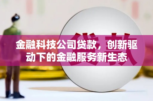横县金融科技公司贷款，创新驱动下的金融服务新生态