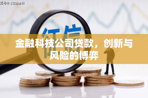 横县金融科技公司贷款，创新与风险的博弈