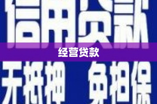 横县经营贷款