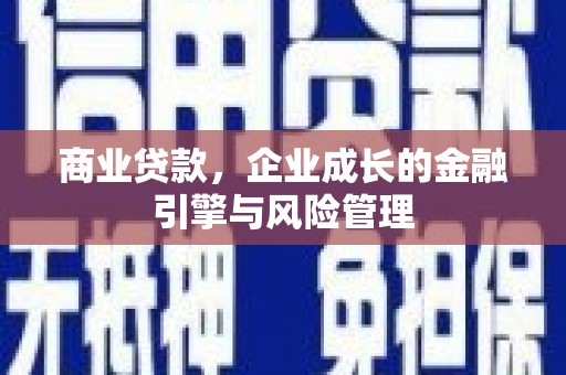 横县商业贷款，企业成长的金融引擎与风险管理
