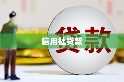 横县信用社贷款