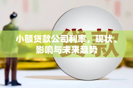 横县小额贷款公司利率，现状、影响与未来趋势