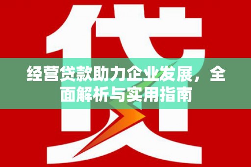 横县经营贷款助力企业发展，全面解析与实用指南
