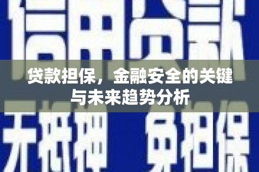 横县贷款担保，金融安全的关键与未来趋势分析