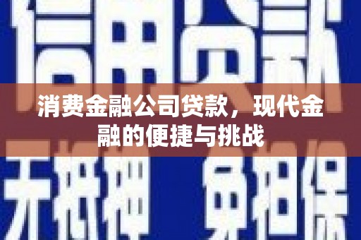 横县消费金融公司贷款，现代金融的便捷与挑战