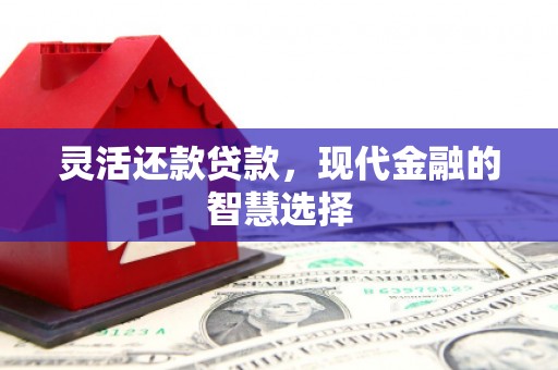横县灵活还款贷款，现代金融的智慧选择