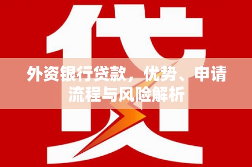 横县外资银行贷款，优势、申请流程与风险解析