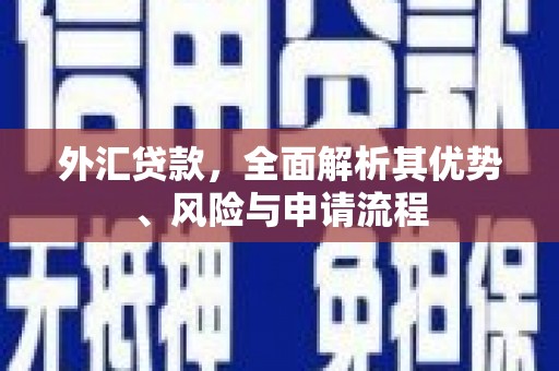 横县外汇贷款，全面解析其优势、风险与申请流程