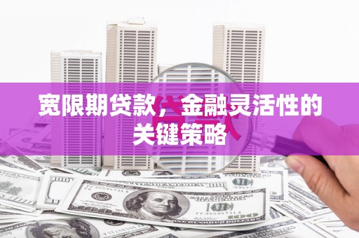 横县宽限期贷款，金融灵活性的关键策略