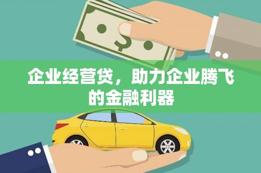 横县企业经营贷，助力企业腾飞的金融利器