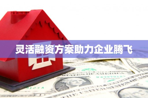 横县灵活融资方案助力企业腾飞