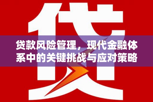 横县贷款风险管理，现代金融体系中的关键挑战与应对策略