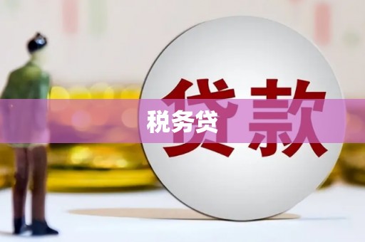 横县税务贷