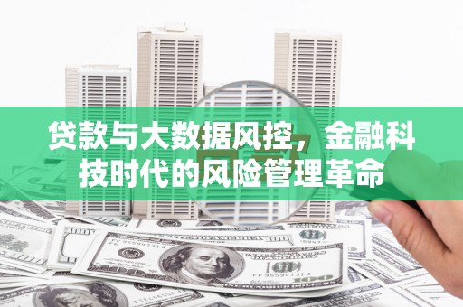 横县贷款与大数据风控，金融科技时代的风险管理革命