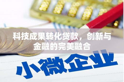 横县科技成果转化贷款，创新与金融的完美融合
