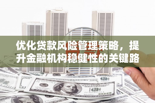 横县优化贷款风险管理策略，提升金融机构稳健性的关键路径