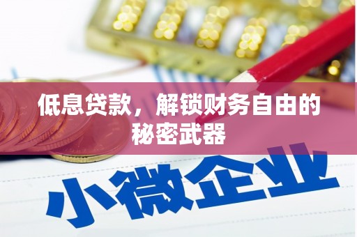 横县低息贷款，解锁财务自由的秘密武器