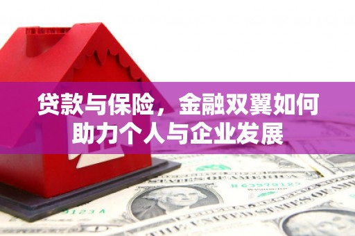 横县贷款与保险，金融双翼如何助力个人与企业发展