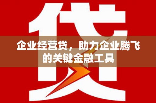 横县企业经营贷，助力企业腾飞的关键金融工具