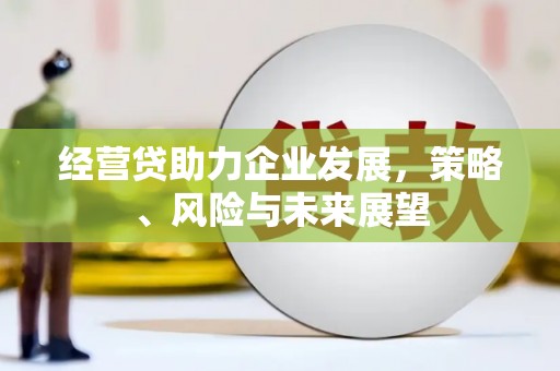 横县经营贷助力企业发展，策略、风险与未来展望