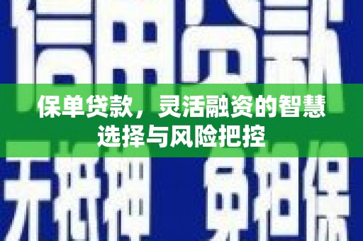 横县保单贷款，灵活融资的智慧选择与风险把控