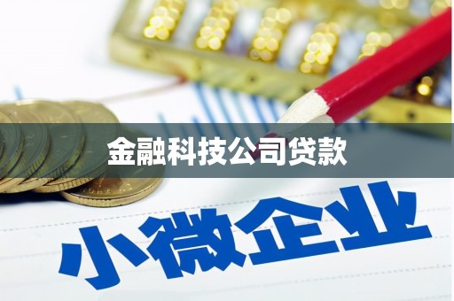 横县金融科技公司贷款