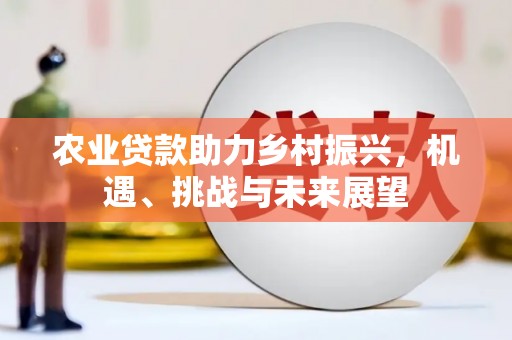 横县农业贷款助力乡村振兴，机遇、挑战与未来展望