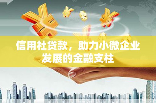 横县信用社贷款，助力小微企业发展的金融支柱