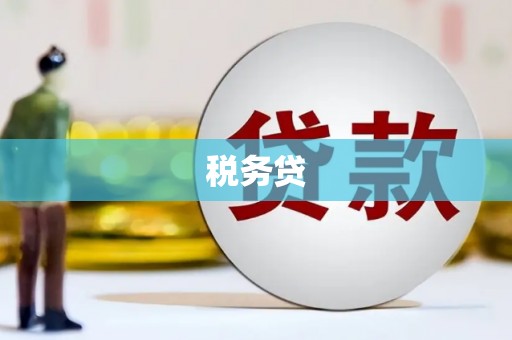 横县税务贷