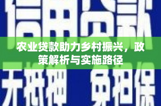 横县农业贷款助力乡村振兴，政策解析与实施路径